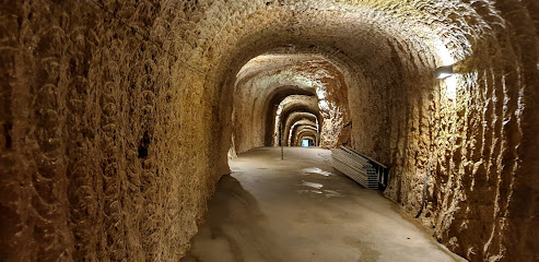 Le tunnel du Mont-d'Or