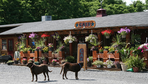 Winery «Americana Vineyards Winery», reviews and photos, 4367 E Covert Rd, Interlaken, NY 14847, USA