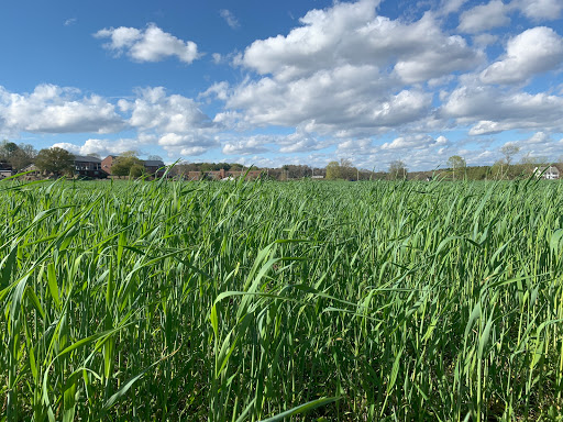 Park «Sweets Knoll State Park», reviews and photos, 1387 Somerset Ave, Dighton, MA 02715, USA