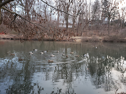 Park «Crocheron Park», reviews and photos, 214-41 34th Ave, Bayside, NY 11361, USA