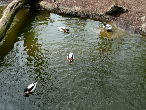 Zoo «Nashville Zoo at Grassmere», reviews and photos, 3777 Nolensville Pike, Nashville, TN 37211, USA