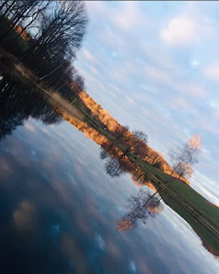 ETANG le juge à Beulotte-Saint-Laurent