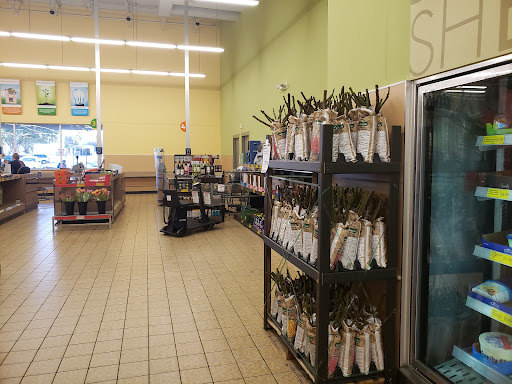 Supermarket «ALDI», reviews and photos, 5524 W Colonial Dr b, Orlando, FL 32808, USA