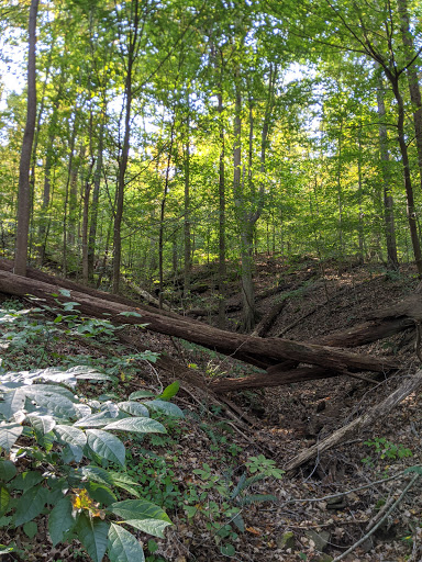 Golf Course «The Valley Links Course», reviews and photos, 8670 IN-56, French Lick, IN 47432, USA