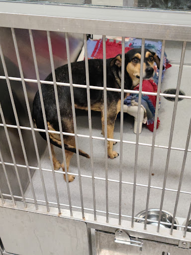 San Diego Humane Societys El Cajon Campus image