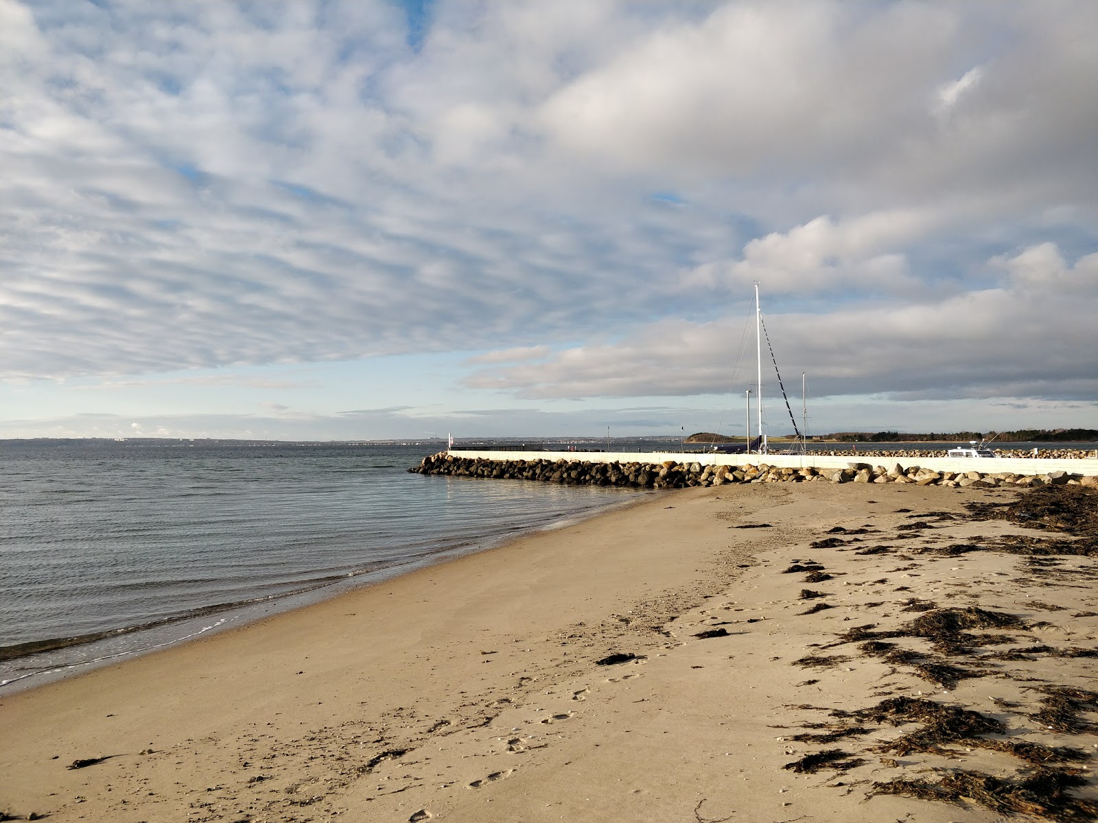 Foto af Skødshoved Strand med lang lige kyst