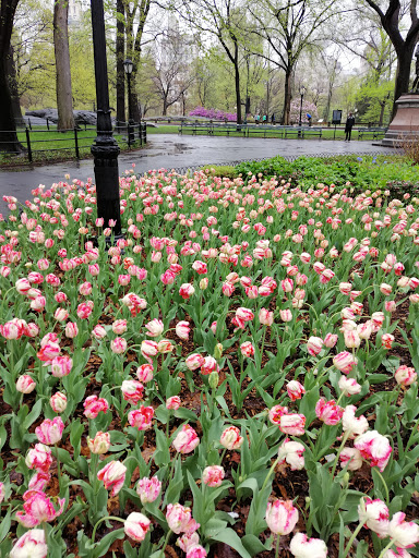 Zoo «Central Park Zoo», reviews and photos, E 64th St & 5th Ave, New York, NY 10021, USA