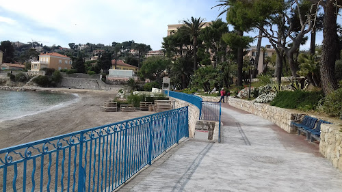 Cadrilège Bleu à Saint-Jean-Cap-Ferrat