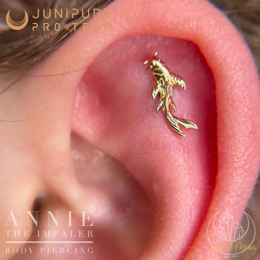 Explore tattoo sleeve filler ideas for a man, creative tattoo ideas in Bloomington, available at Crystal Moon Body Arts