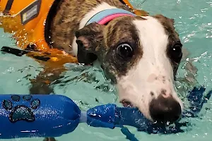 The Dog Dive, LLC image