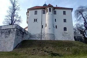 Pišece Castle image