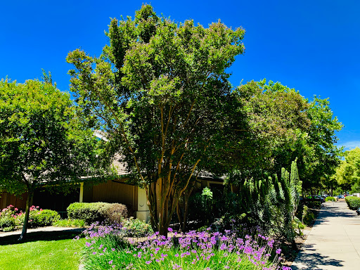 City of Pleasanton Library image