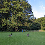 Photo n°5 de l'avis de Rayk.o fait le 08/09/2022 à 19:19 sur le  Golfclub Hamburg Gut Waldhof à Kisdorf