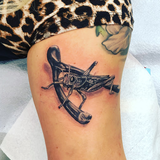 Tattoo Shop «Dreamland Tattoo», reviews and photos, 1887 S Main St, Harrisonburg, VA 22801, USA