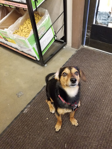 Pet Supply Store «Western Ranch & Pet Supply», reviews and photos, 103 Aegean Way, Vacaville, CA 95687, USA