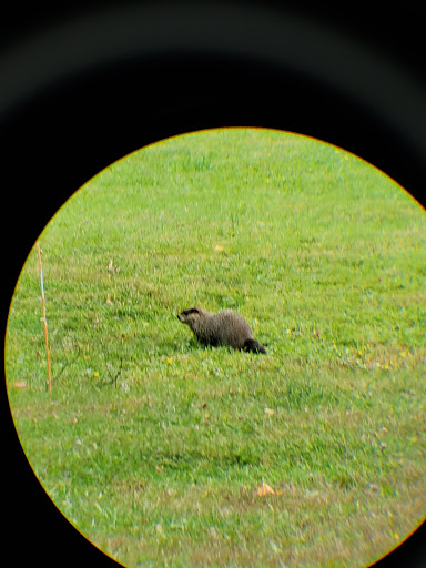 Campground «Boston / Cape Cod KOA Holiday», reviews and photos, 438 Plymouth St, Middleborough, MA 02346, USA