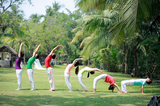 Học viện Yogadaily - Trung tâm đào tạo huấn luyện viên yoga uy tín Việt Nam và quốc tế