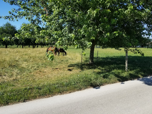 Tourist Attraction «Amish Experience», reviews and photos, 3121 Old Philadelphia Pike, Bird in Hand, PA 17505, USA