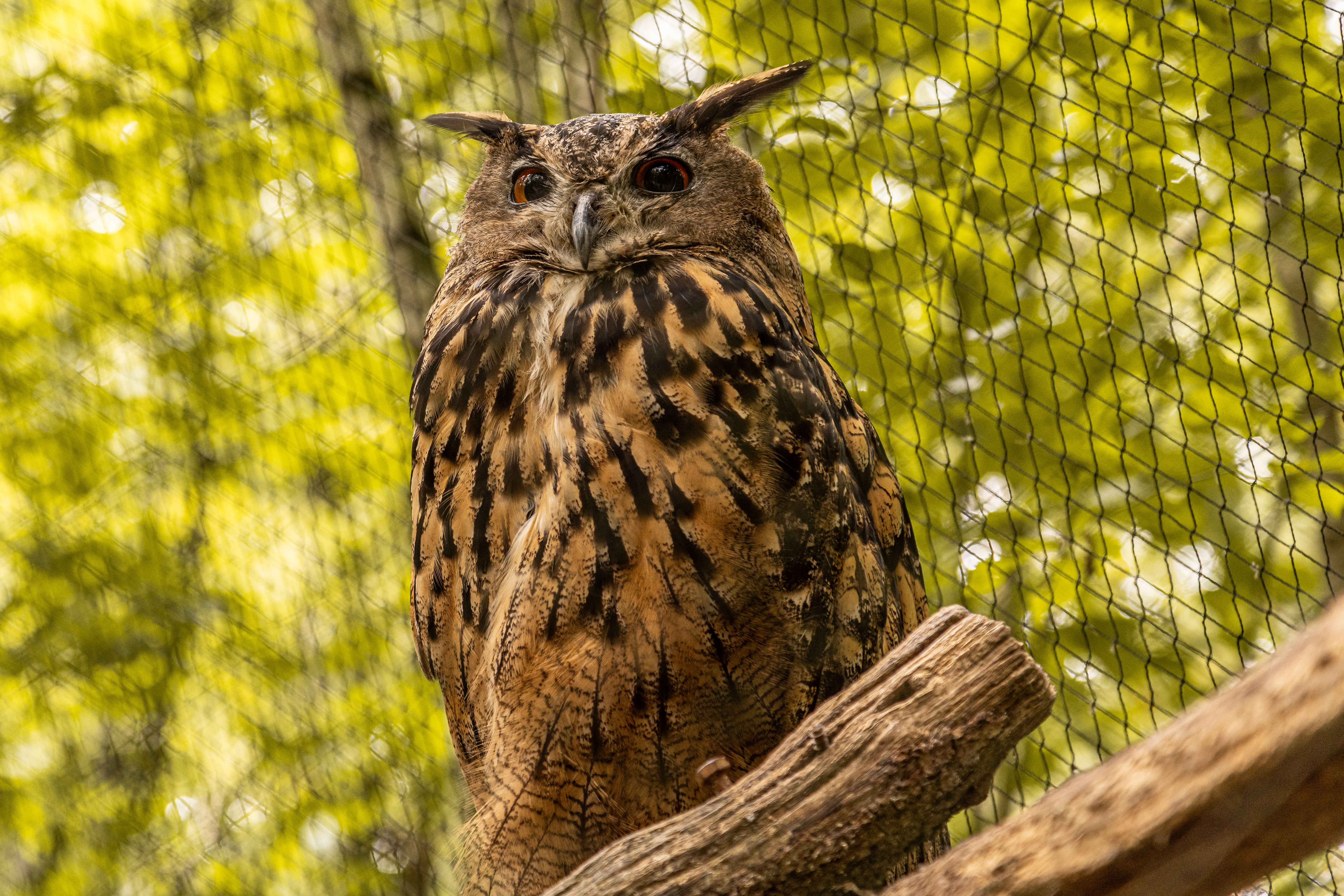 Photo n° 2 de l'avis de Julie.o fait le 14/08/2023 à 09:22