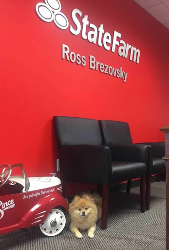 Insurance Agency «Ross Brezovsky - State Farm Insurance Agent», reviews and photos