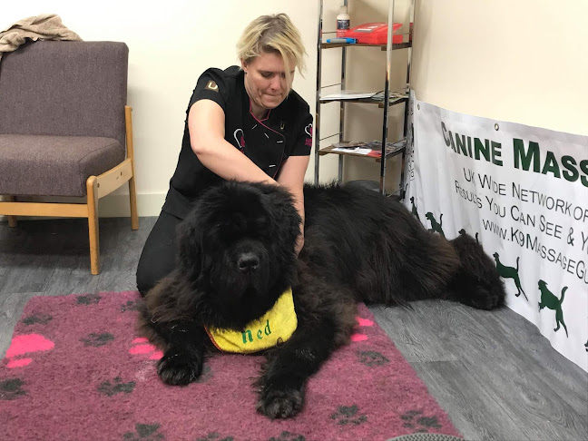 Hands On Heart Clinical Canine Massage Therapy - Warrington