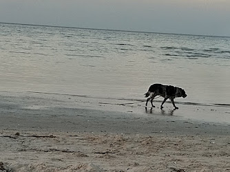 Rosebud Beach Dog Off Leash Area