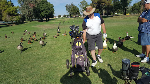 Golf Course «Lemoore Golf Course», reviews and photos, 350 Iona Ave, Lemoore, CA 93245, USA