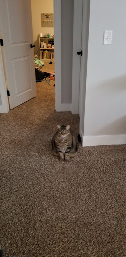 Pet Supply Store «Petco Animal Supplies», reviews and photos, 5239 Harvey St, Norton Shores, MI 49444, USA