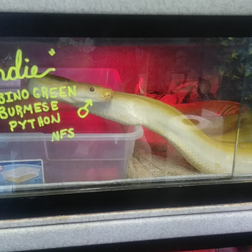 Pet Store «Cold Blooded Pets», reviews and photos, 176 Main St, Acushnet, MA 02743, USA