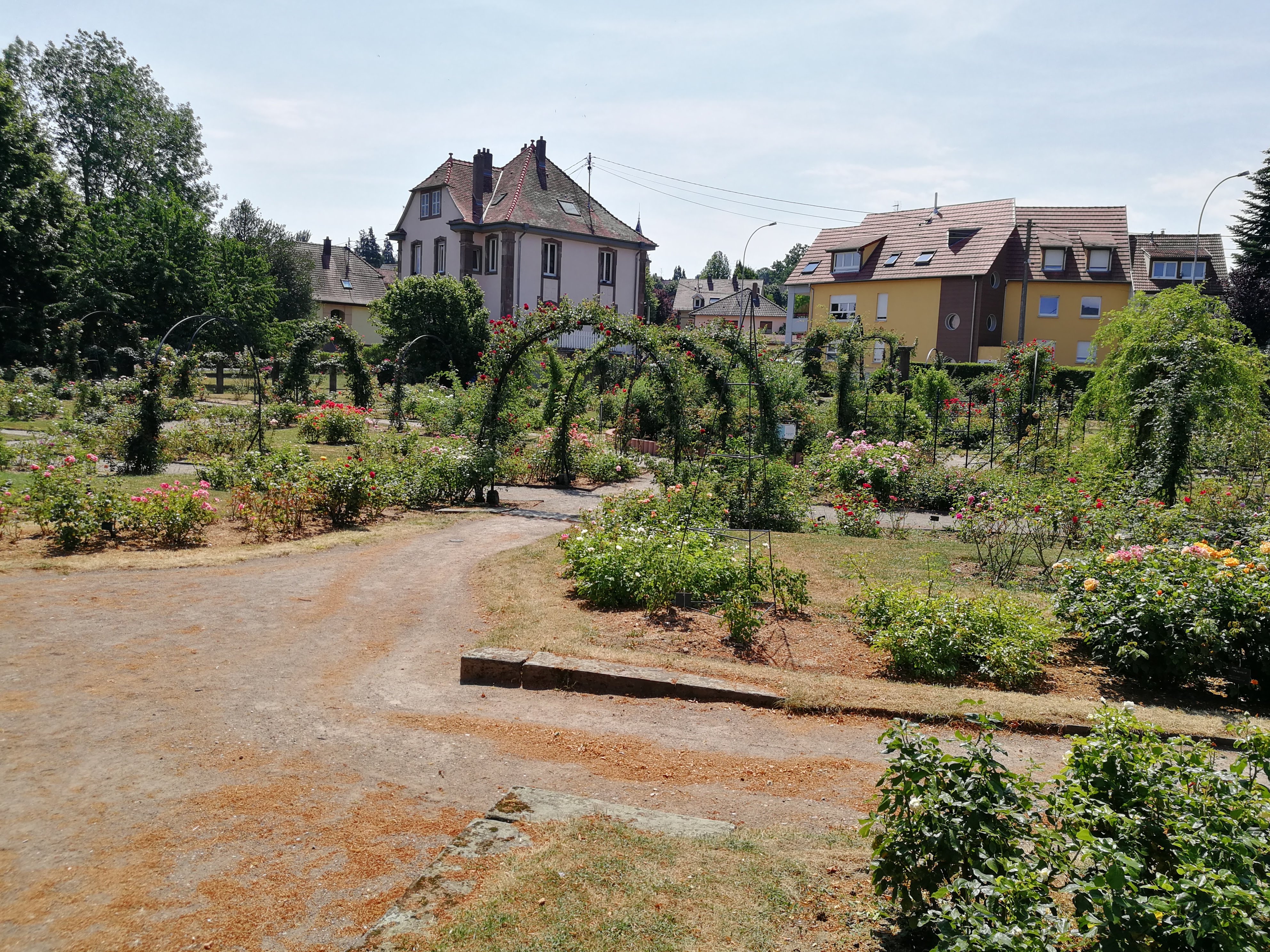 Photo n° 5 de l'avis de Olivier.e fait le 17/07/2018 à 16:04