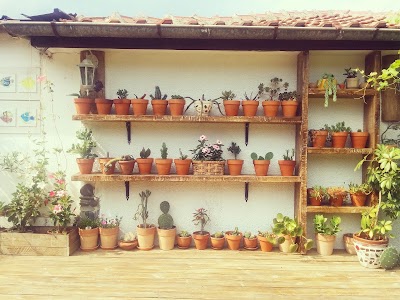 Photos of Hotel Casa Domingo