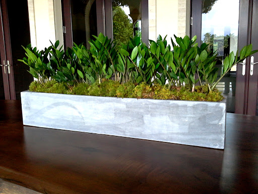 Florist «Natural Orchids Boutique», reviews and photos, 10129 SW 72nd St, Miami, FL 33173, USA