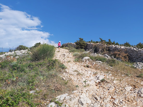 Lizard's beach