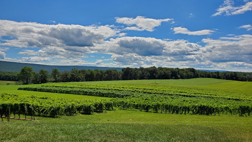 Winery «Galen Glen Winery», reviews and photos, 255 Winter Mountain Dr, Andreas, PA 18211, USA