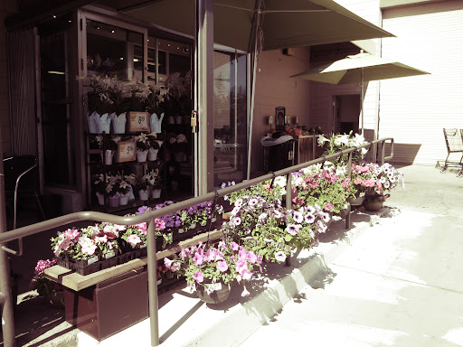 Andronicos Community Markets image