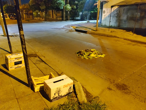Recogida basura Buenos Aires