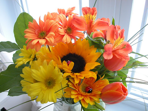 Florist «Coggins Flowers & Gifts», reviews and photos, 800 N Church St, Spartanburg, SC 29303, USA