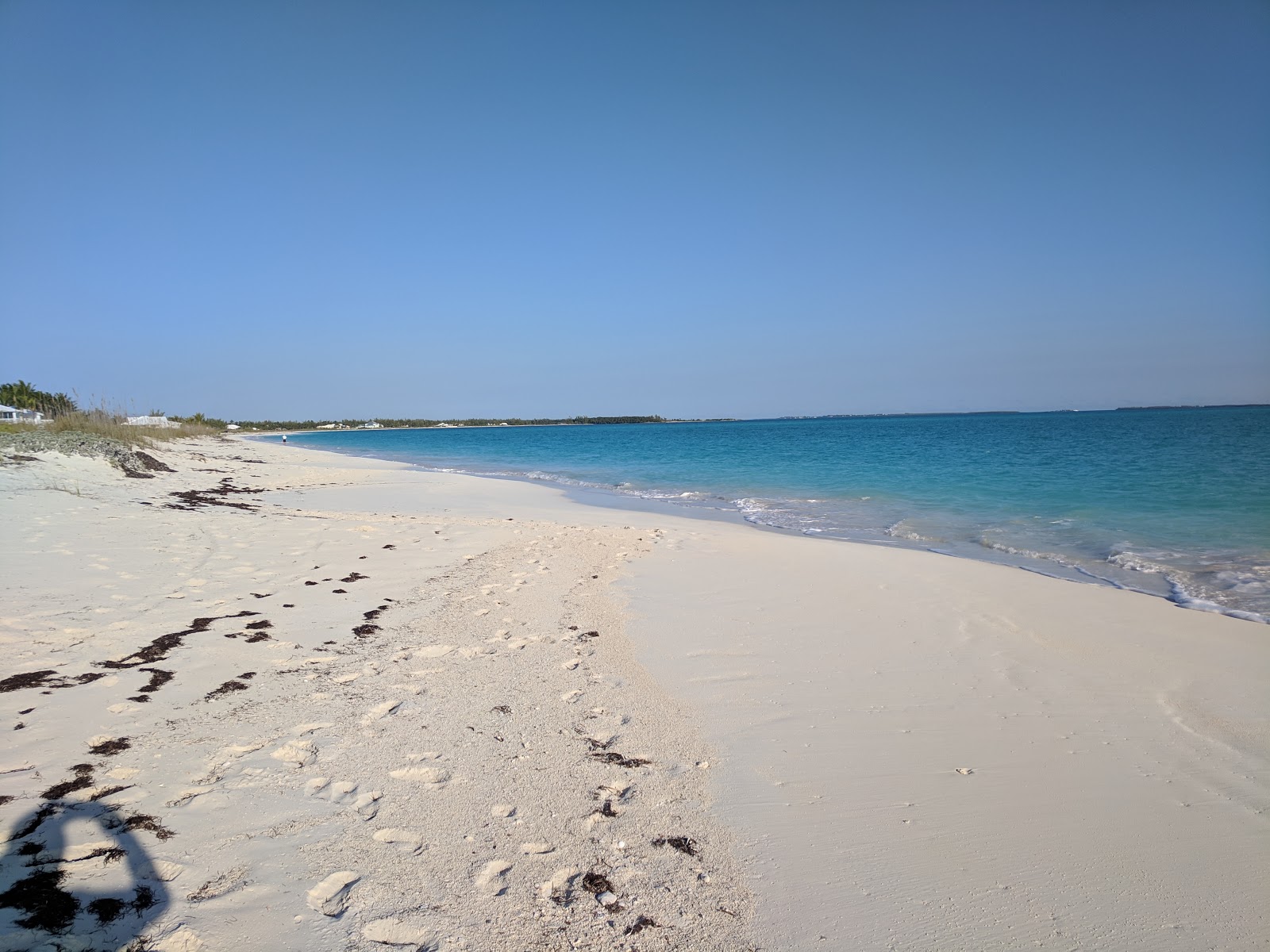 Photo of Casuarina beach with partly clean level of cleanliness