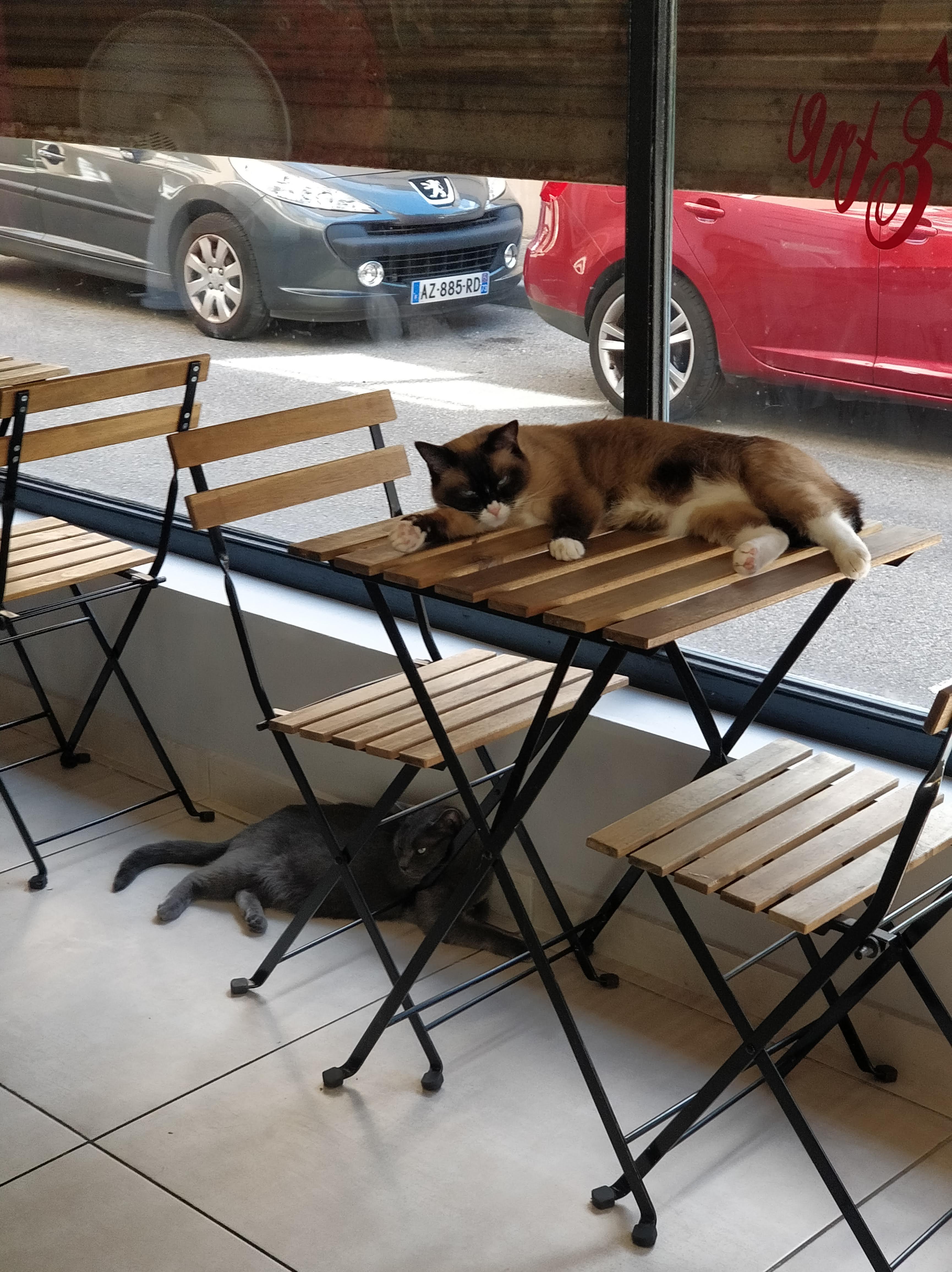 Photo n° 3 de l'avis de Rvt.l fait le 18/08/2020 à 20:08