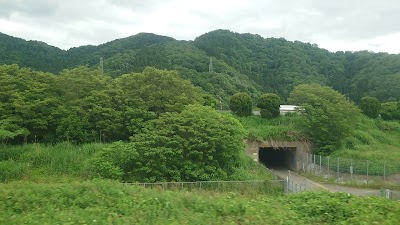 鯖江のめがね看板