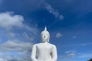 Wat Phra Phutthabat Doi Lon image