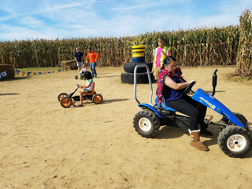 Tourist Attraction «Oregon Dairy Corn Maze», reviews and photos, 1289 Creek Rd, Lititz, PA 17543, USA