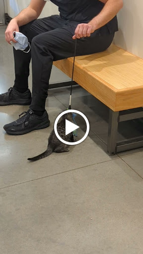 Pet Supply Store «Petco Animal Supplies», reviews and photos, 12444 NW 10th St #301, Yukon, OK 73099, USA