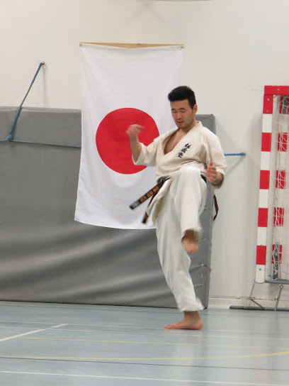 Shin Go Ryu Karate Helsingør