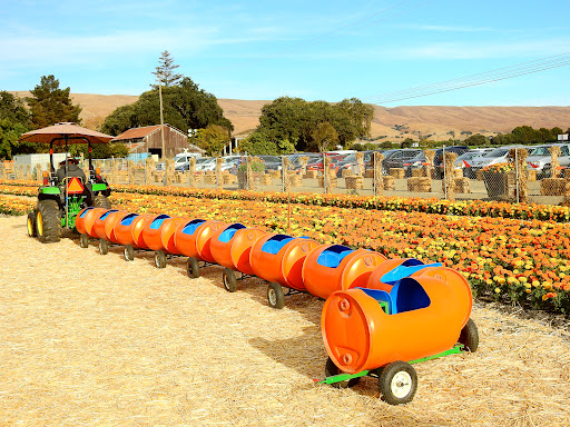 Pumpkin Patch «Spina Farms», reviews and photos, Santa Teresa Blvd, Morgan Hill, CA 95037, USA