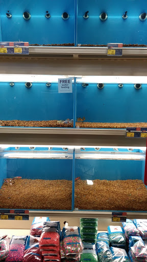 Pet Supply Store «PetSmart», reviews and photos, 4794 Jimmy Lee Smith Pkwy #108, Hiram, GA 30141, USA