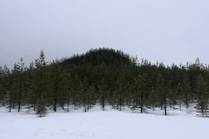 Tree Mountain image