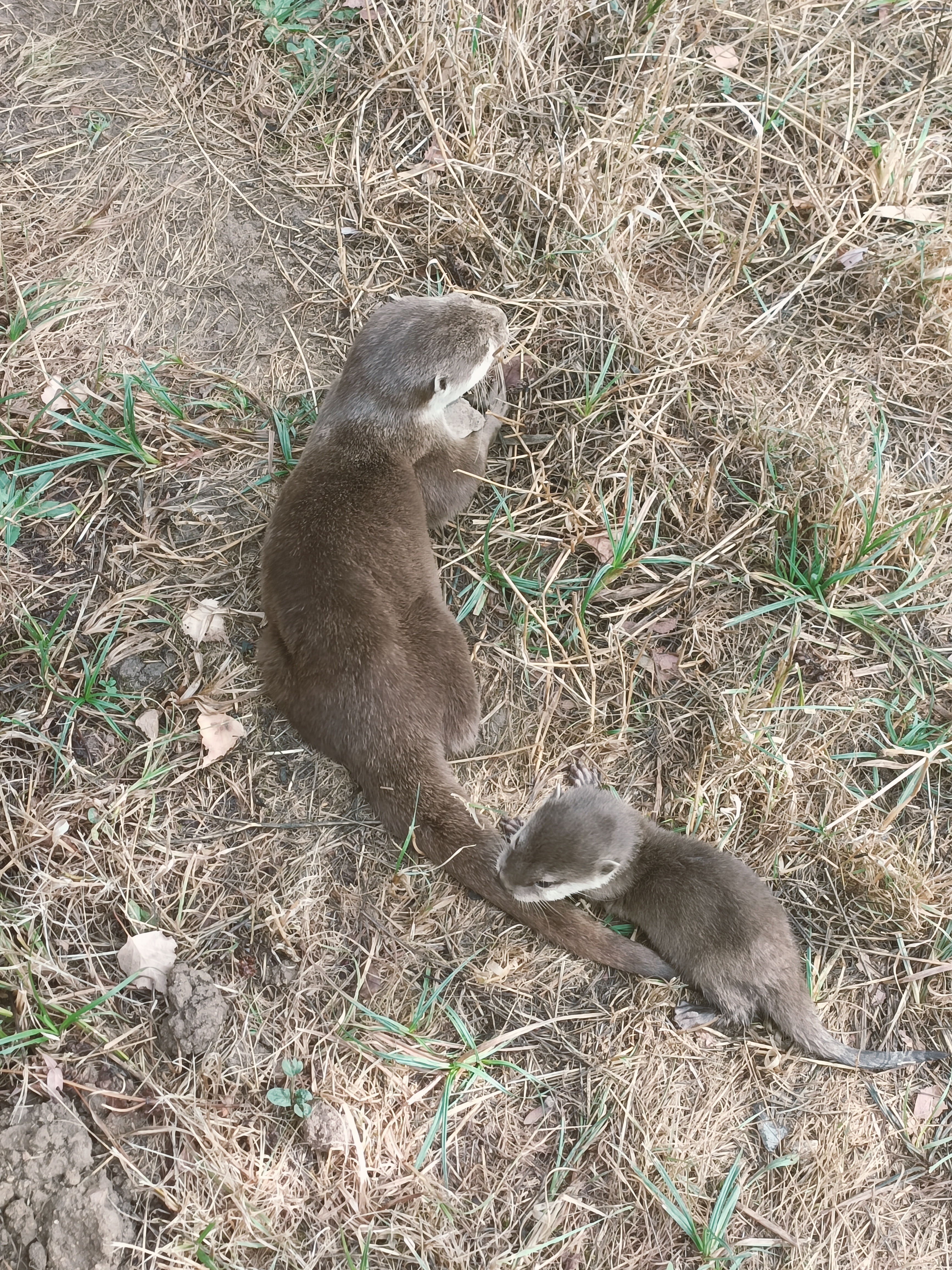 Photo n° 10 de l'avis de élodie.o fait le 14/09/2023 à 18:01