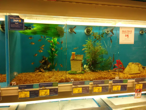 Pet Supply Store «PetSmart», reviews and photos, 1390 N Dupont Hwy, Dover, DE 19901, USA