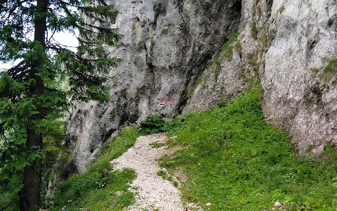 Ice Cave image